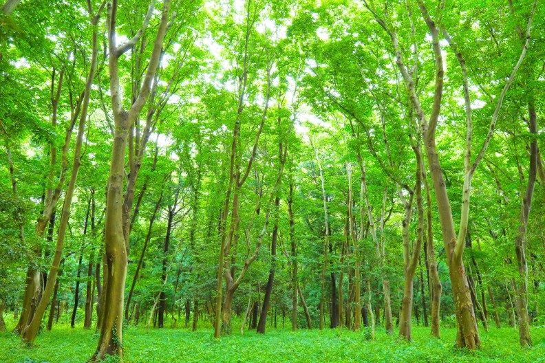 リラックス効果のイメージ